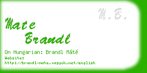 mate brandl business card